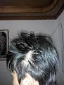 Click image for larger version

Name:	IMG_20150103_012640.jpg
Views:	308
Size:	92.1 KB
ID:	439274