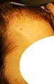 Click image for larger version

Name:	IMG_20151110_144246.jpg
Views:	421
Size:	51.7 KB
ID:	440381