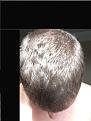 Click image for larger version

Name:	IMG_7894.jpg
Views:	413
Size:	88.5 KB
ID:	441868