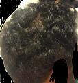 Click image for larger version

Name:	2.jpg
Views:	456
Size:	91.7 KB
ID:	442045