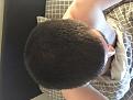 Click image for larger version

Name:	Hair8.jpg
Views:	154
Size:	95.7 KB
ID:	444319