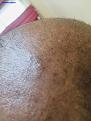 Click image for larger version

Name:	IMG_5392 5 months update.jpg
Views:	352
Size:	84.9 KB
ID:	444349