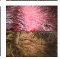 Click image for larger version

Name:	Screenshot 2021-08-15 at 18.46.08.jpg
Views:	172
Size:	15.8 KB
ID:	445262