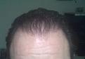 Click image for larger version

Name:	TJ-Hair8.jpg
Views:	1145
Size:	17.1 KB
ID:	445696