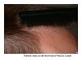 Click image for larger version

Name:	slide 10.JPG
Views:	726
Size:	62.7 KB
ID:	445729
