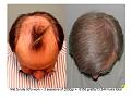 Click image for larger version

Name:	Slide2.JPG
Views:	593
Size:	76.0 KB
ID:	446070