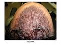 Click image for larger version

Name:	Slide7.jpg
Views:	773
Size:	92.4 KB
ID:	446587