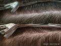 Click image for larger version

Name:	Scar_com_zoom.jpg
Views:	916
Size:	53.6 KB
ID:	446745