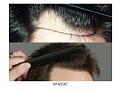 Click image for larger version

Name:	Slide6.JPG
Views:	528
Size:	78.7 KB
ID:	446966