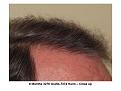 Click image for larger version

Name:	Slide5.JPG
Views:	640
Size:	72.8 KB
ID:	447040