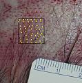Click image for larger version

Name:	Slitnumbercloseup.jpg
Views:	569
Size:	55.7 KB
ID:	447921