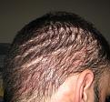 Click image for larger version

Name:	1 month HT 4.jpg
Views:	723
Size:	70.8 KB
ID:	447941