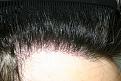 Click image for larger version

Name:	Date- (2010-0217)    Notes- HT  BA 004.jpg GOF.jpg
Views:	375
Size:	98.1 KB
ID:	448308