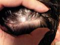 Click image for larger version

Name:	IMG00141-20100216-2321.jpg
Views:	398
Size:	82.6 KB
ID:	448456