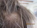 Click image for larger version

Name:	hair 004.jpg
Views:	1428
Size:	81.8 KB
ID:	448509