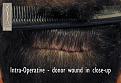 Click image for larger version

Name:	Pic 26.jpg
Views:	674
Size:	80.1 KB
ID:	448849