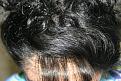 Click image for larger version

Name:	Date- (2010-0721)    Notes- 2 yrs post op  ba 002.jpg
Views:	464
Size:	99.4 KB
ID:	450746
