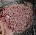 Click image for larger version

Name:	67r.jpg
Views:	305
Size:	86.7 KB
ID:	452156