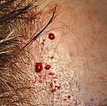 Click image for larger version

Name:	6r.jpg
Views:	307
Size:	82.4 KB
ID:	454201