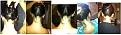 Click image for larger version

Name:	tracking hair loss.JPG
Views:	7831
Size:	53.7 KB
ID:	454377