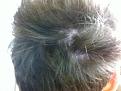 Click image for larger version

Name:	hair 009.jpg
Views:	686
Size:	34.2 KB
ID:	455104