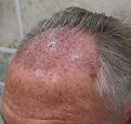 Click image for larger version

Name:	IMG_0390.jpg
Views:	360
Size:	89.8 KB
ID:	455848
