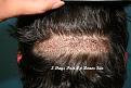 Click image for larger version

Name:	3 days post-op (1)_Copy.jpg
Views:	513
Size:	93.0 KB
ID:	456310