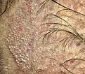 Click image for larger version

Name:	9r.jpg
Views:	477
Size:	78.3 KB
ID:	456336