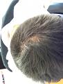 Click image for larger version

Name:	hair1.jpg
Views:	2046
Size:	36.1 KB
ID:	456538