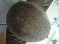 Click image for larger version

Name:	Toronto-20120418-00173.jpg
Views:	556
Size:	93.5 KB
ID:	456625