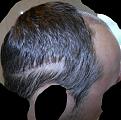 Click image for larger version

Name:	2012-04-06-1141.jpg
Views:	529
Size:	54.8 KB
ID:	456716
