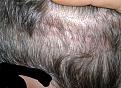 Click image for larger version

Name:	2012-04-22-1513.jpg
Views:	517
Size:	97.6 KB
ID:	456731