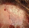 Click image for larger version

Name:	8ar.jpg
Views:	342
Size:	79.6 KB
ID:	458712