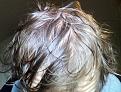 Click image for larger version

Name:	wethair.jpg
Views:	6137
Size:	64.0 KB
ID:	458906