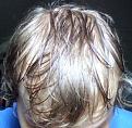 Click image for larger version

Name:	wethair2.jpg
Views:	4468
Size:	39.0 KB
ID:	458908