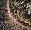Click image for larger version

Name:	8r.jpg
Views:	290
Size:	85.1 KB
ID:	459144
