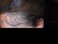Click image for larger version

Name:	Left-Side-FourMontsLater.jpg
Views:	976
Size:	92.5 KB
ID:	459393