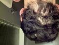 Click image for larger version

Name:	Neck2.jpg
Views:	636
Size:	93.8 KB
ID:	459477
