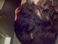 Click image for larger version

Name:	Neck3.jpg
Views:	550
Size:	95.5 KB
ID:	459478