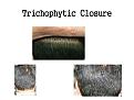Click image for larger version

Name:	Slide3.JPG
Views:	356
Size:	59.4 KB
ID:	459628