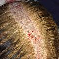 Click image for larger version

Name:	8r.jpg
Views:	491
Size:	78.5 KB
ID:	460274