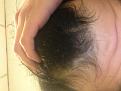 Click image for larger version

Name:	IMG_0849.jpg
Views:	432
Size:	89.6 KB
ID:	462270