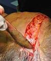 Click image for larger version

Name:	131r.jpg
Views:	539
Size:	70.9 KB
ID:	462300