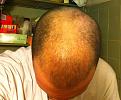 Click image for larger version

Name:	hairnone.jpg
Views:	821
Size:	92.3 KB
ID:	462508