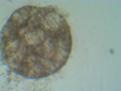 Click image for larger version

Name:	IMG_20110111_103447.jpg
Views:	491
Size:	102.5 KB
ID:	463264