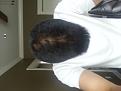 Click image for larger version

Name:	20130921_132121.jpg
Views:	496
Size:	87.3 KB
ID:	463579