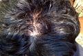 Click image for larger version

Name:	hair 1.jpg
Views:	759
Size:	20.4 KB
ID:	464340