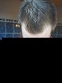 Click image for larger version

Name:	hair5.jpg
Views:	1145
Size:	80.0 KB
ID:	464569