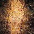Click image for larger version

Name:	6r.jpg
Views:	343
Size:	80.6 KB
ID:	466635