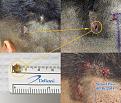 Click image for larger version

Name:	quad-glass.jpg
Views:	391
Size:	98.8 KB
ID:	466780
